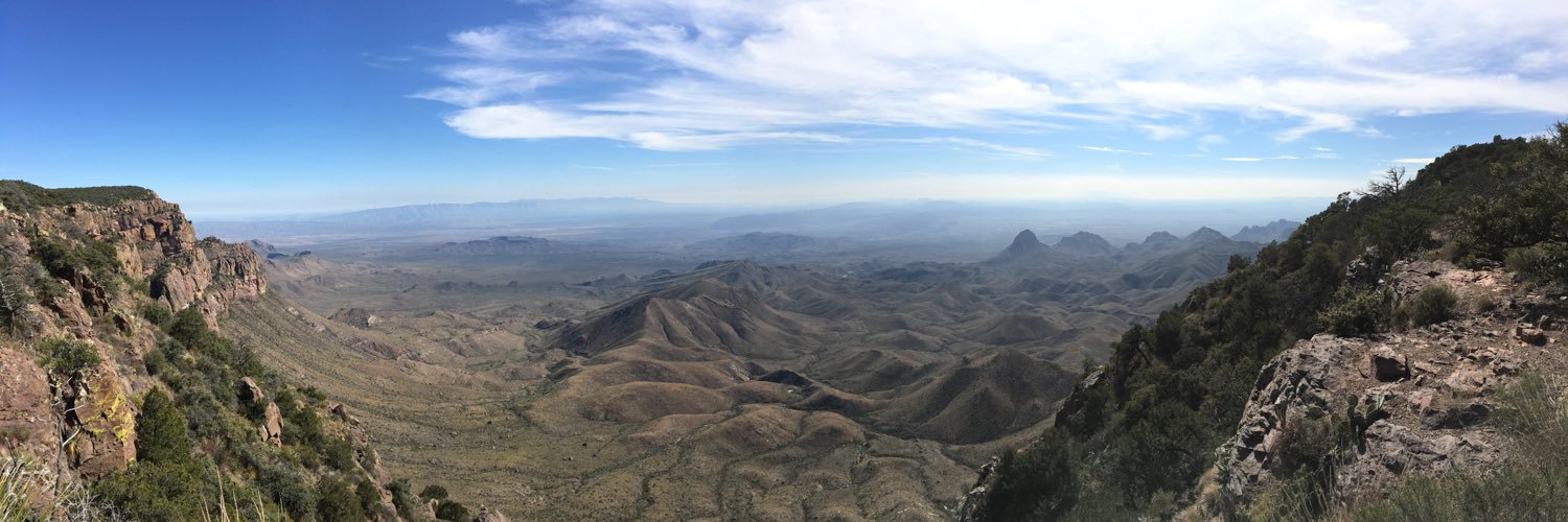 Michael Little MD banner