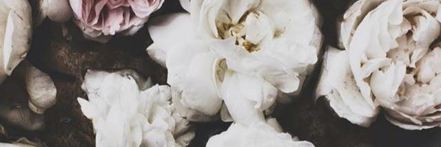 Defneis's profile banner image