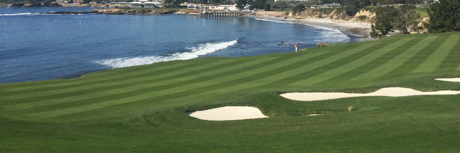 The D-Train 🇺🇦🇺🇸 banner