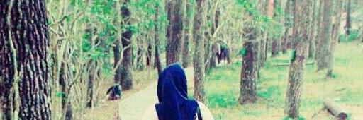 sitirofiiah's profile banner image