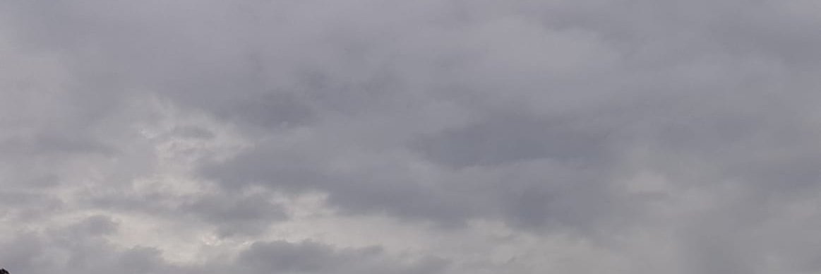 _Saaaandraaa_'s profile banner image