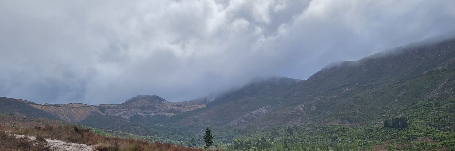 deWalf78's profile banner image