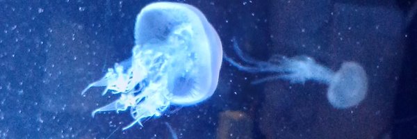 mika_aimhere Profile Banner