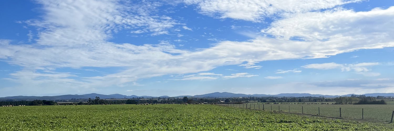 Letitia Wallace banner