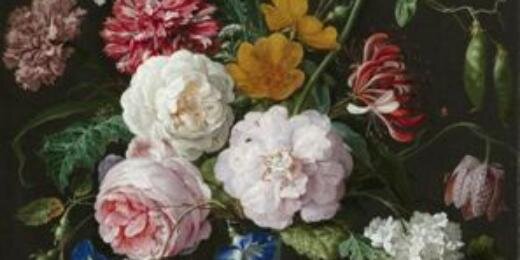 Amelia Reivers banner