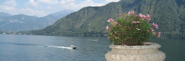 Its_Laynie_Lou Profile Banner