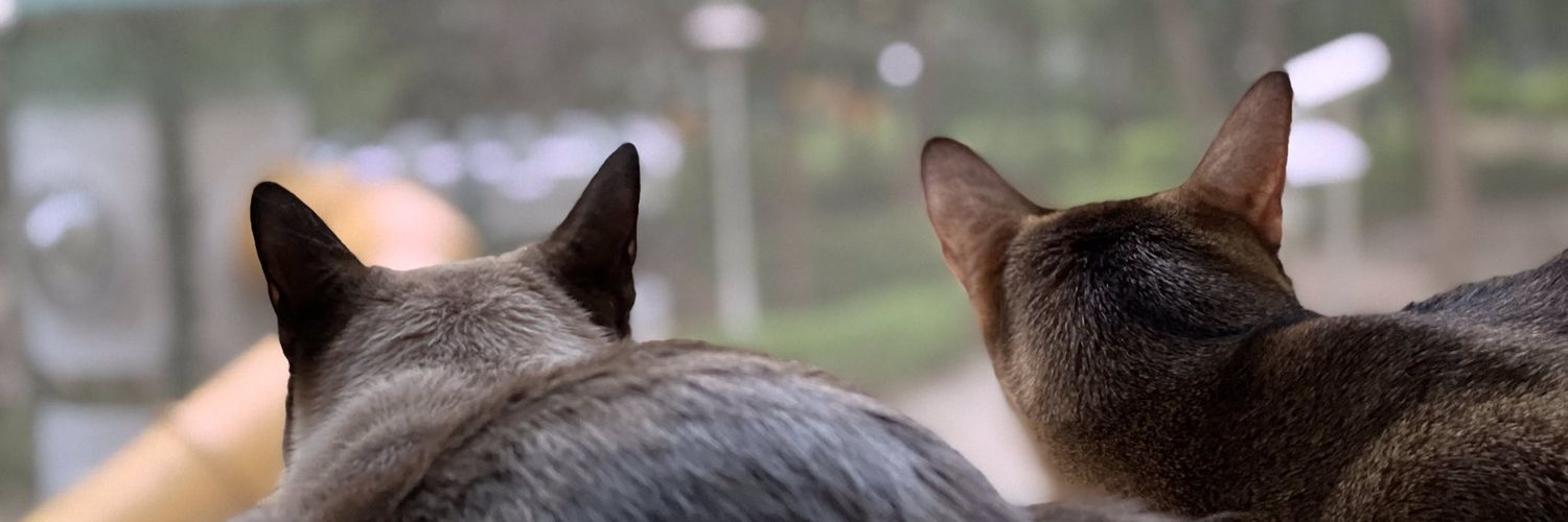 FathiaRD's profile banner image