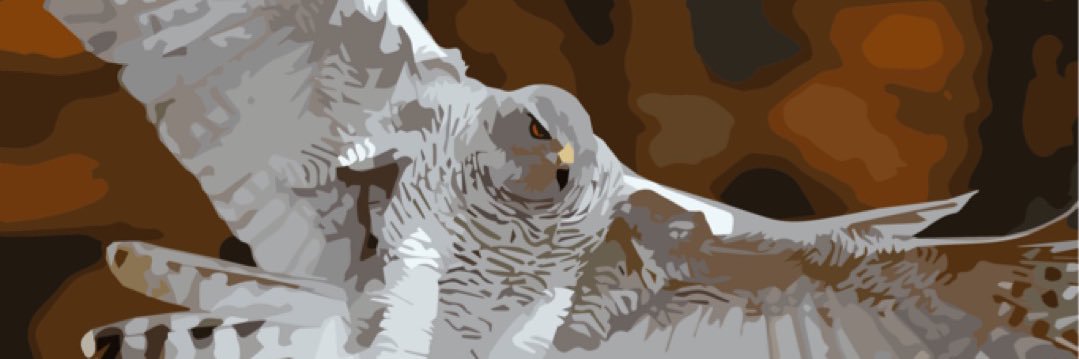 donecraig's profile banner image