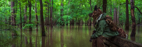 TalesTigerfox Profile Banner