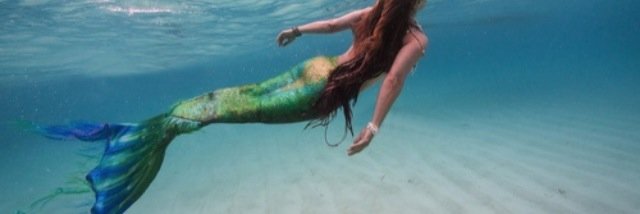 Diary Of A Pisces banner