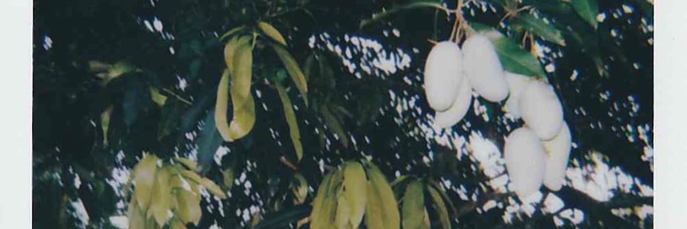 cassperdaghost's profile banner image