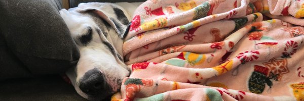 _GJK_ Profile Banner