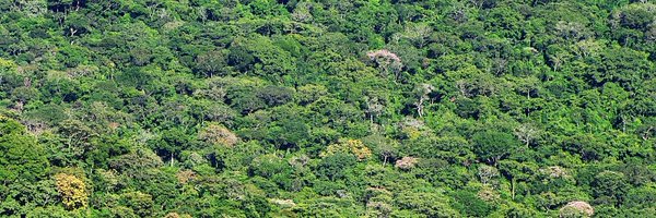 lrvqzr Profile Banner