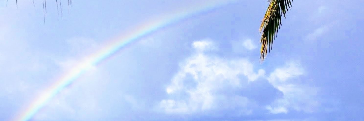 lioness402's profile banner image