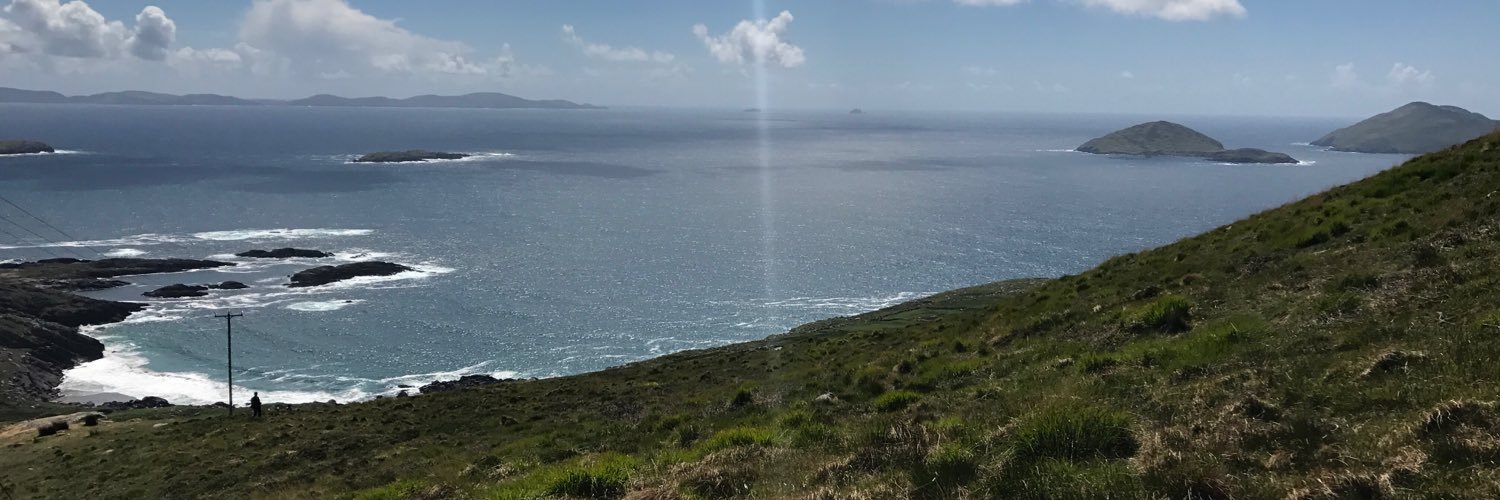 RyanLeeGee's profile banner image