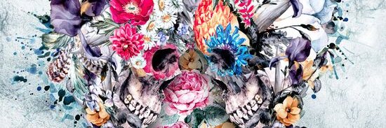Meadow3217's profile banner image