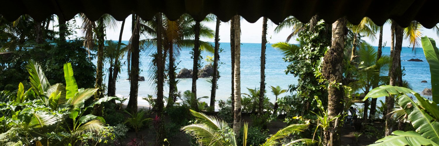 kurt hollander banner