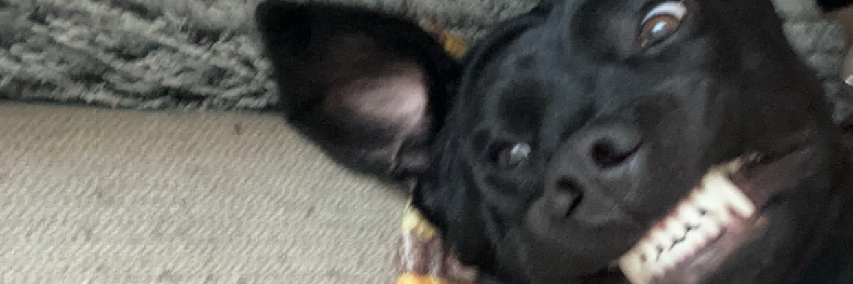 𝓘𝓻è𝓷𝓮✨🌼🌻 banner