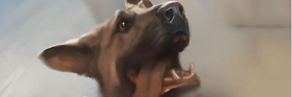 DogMeat__'s profile banner image