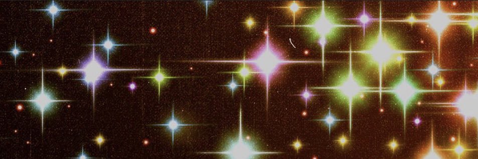 Tony Woprano banner