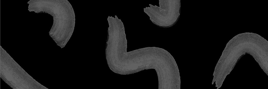 Noinnainna's profile banner image