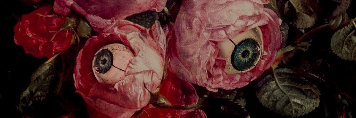 swampflowerr's profile banner image