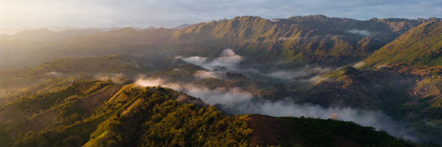 Darius Haberstock banner