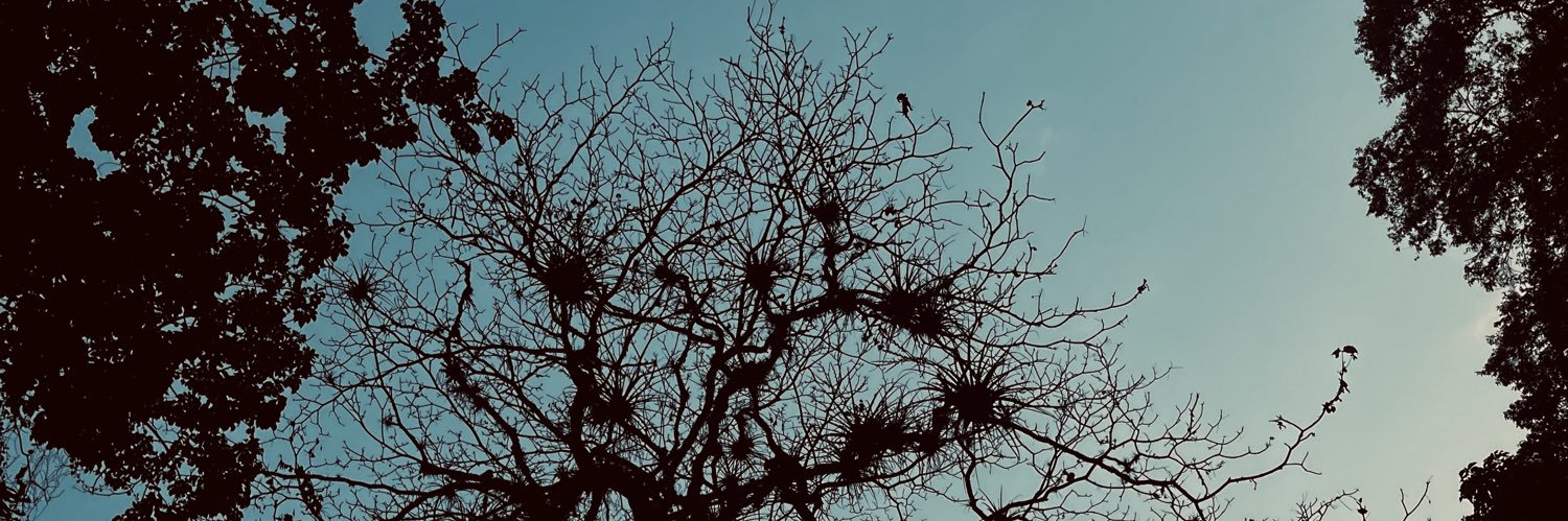anngslz's profile banner image