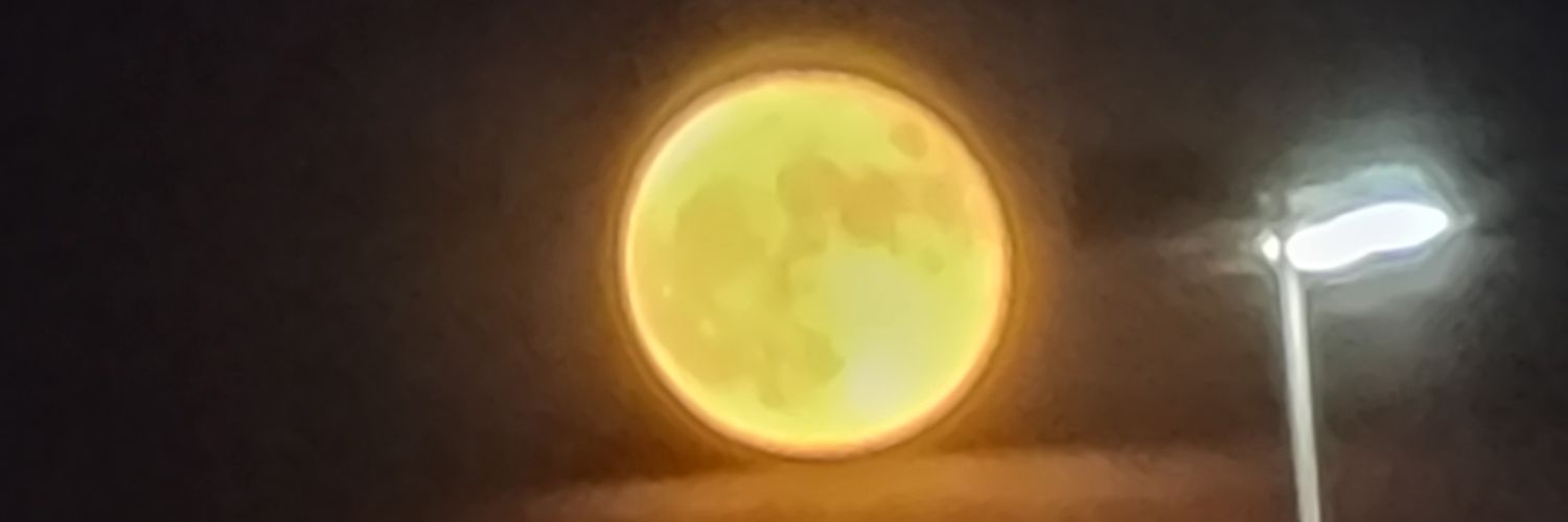 untamed_wolf's profile banner image