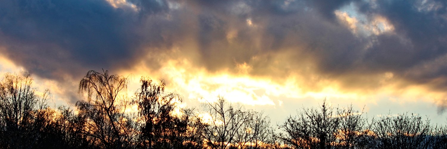 Max 🌩️ Pretty normal one's banner