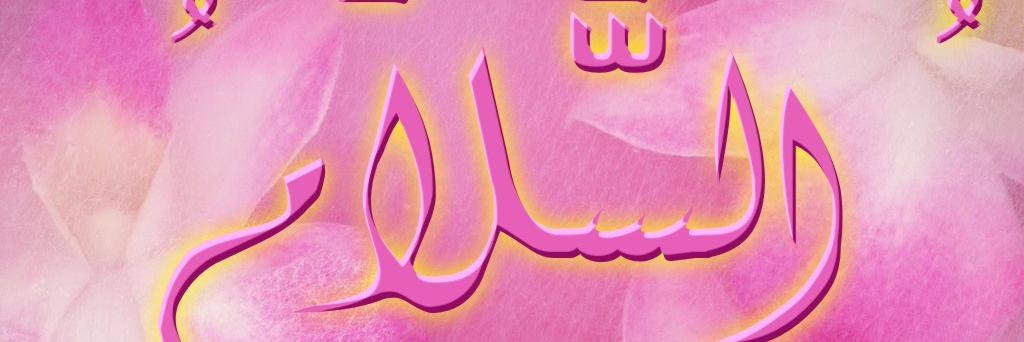 IedaSalut's profile banner image