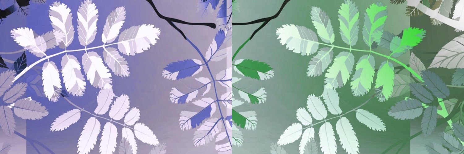 AroAceAtom's profile banner image