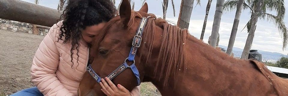 Dul_Trejo's profile banner image