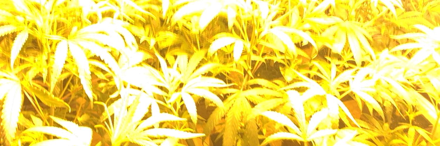 Csnyder215's profile banner image