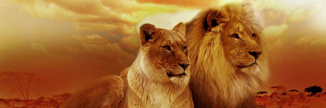 AjayBharti3's profile banner image