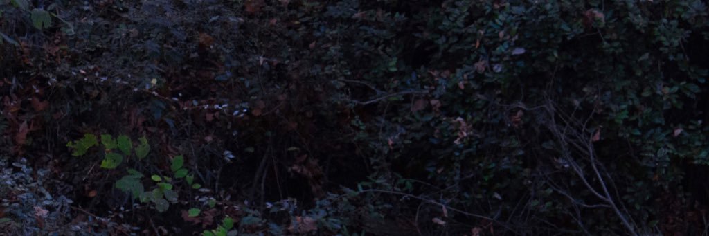 TeeGreen_'s profile banner image