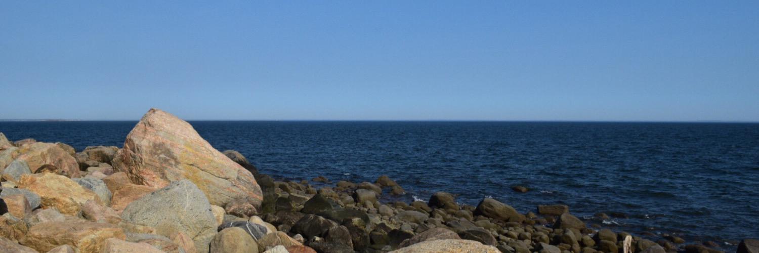 katiiereed's profile banner image