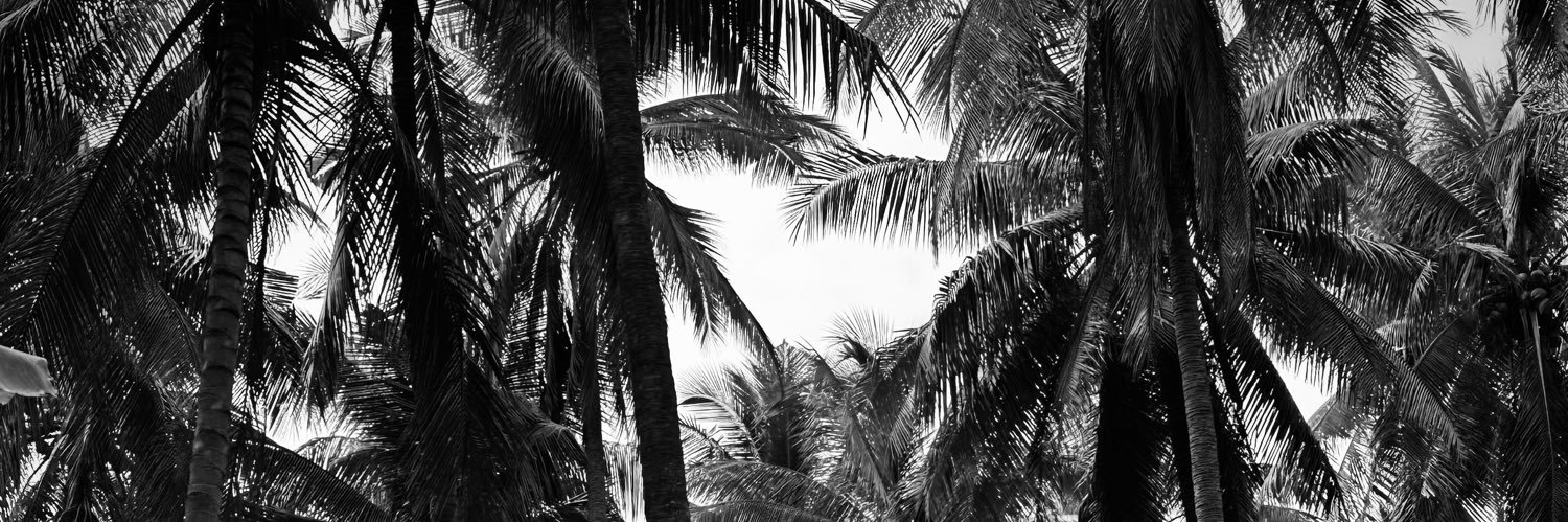 shankari08's profile banner image