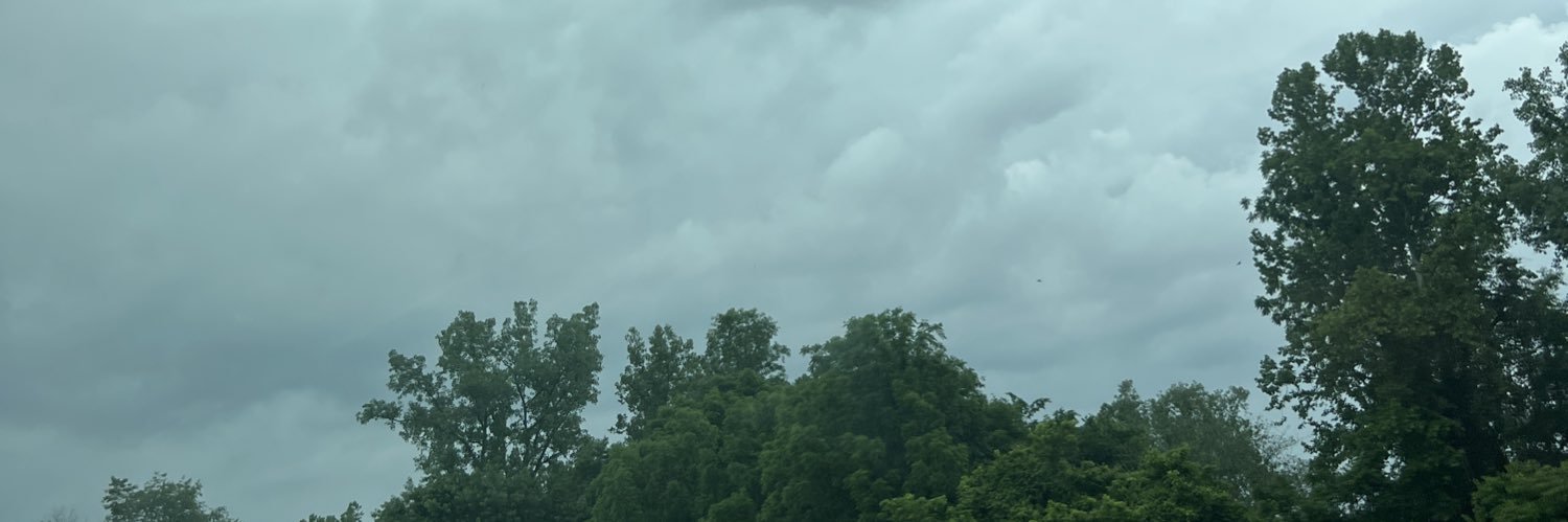 Heidi & Ally Strouse banner