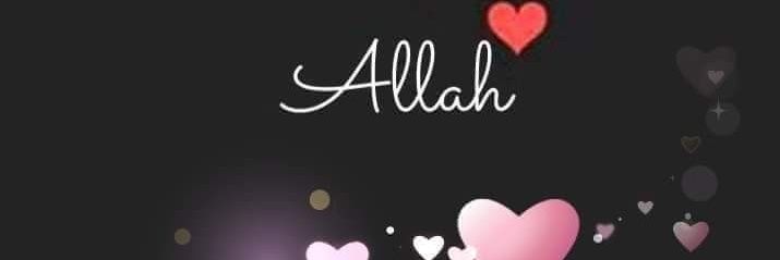 Saima banner
