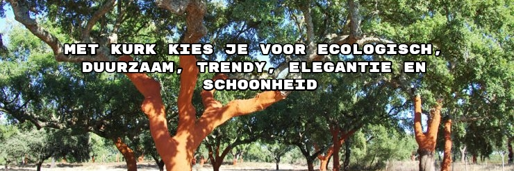 Ecovibe_be's profile banner image
