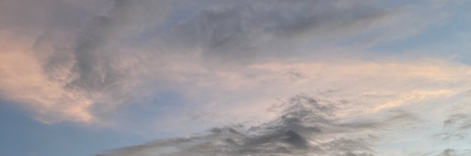 Veronamo's profile banner image