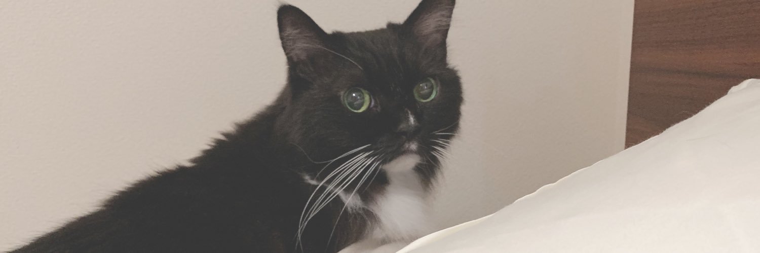 cat22fluv's profile banner image