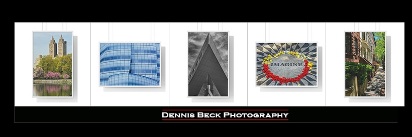DBeckPhotos's profile banner image