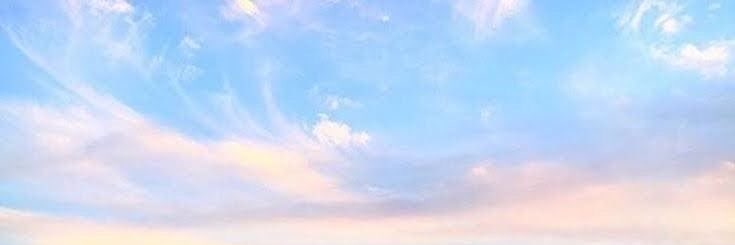 1001owl's profile banner image