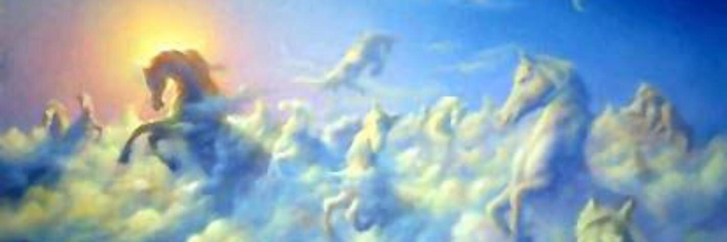 yha1000's profile banner image