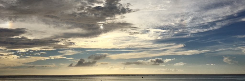 새벽빛😆 상식적이고 정상적인 나라에서 살고 싶다 banner