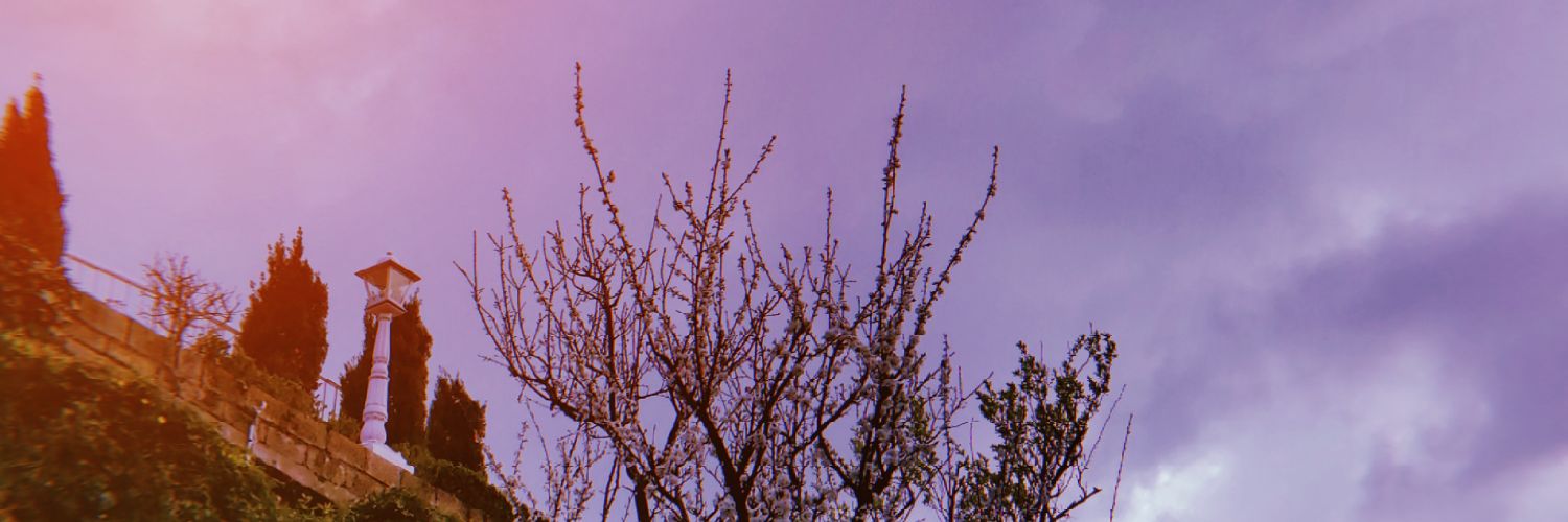 vansxtra's profile banner image