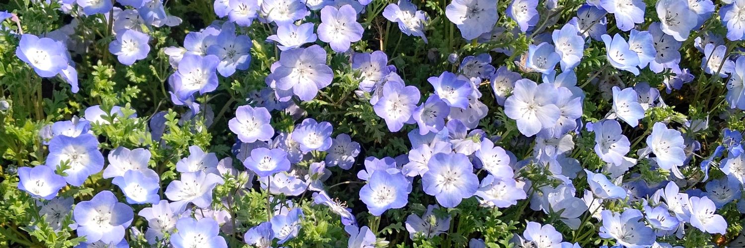 hmhm1869's profile banner image