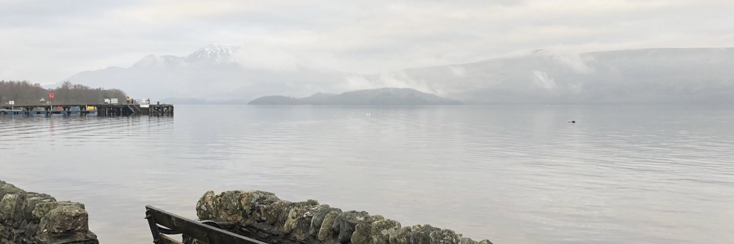 mirandamy's profile banner image